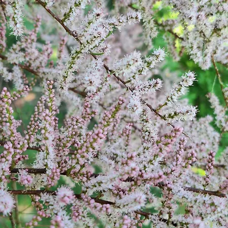Apartment Chemin Des Hetres