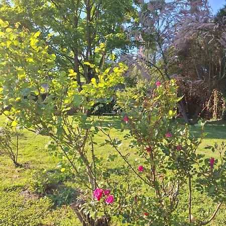 Le Chemin Des Hetres Holiday home Armaille