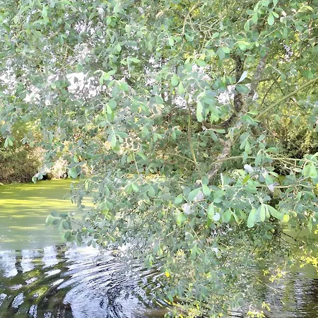 アパート Chemin Des Hetres *