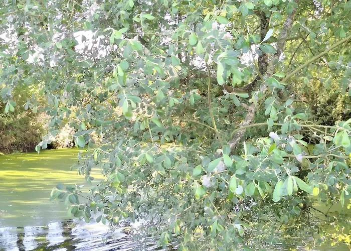 דירה Chemin Des Hetres *