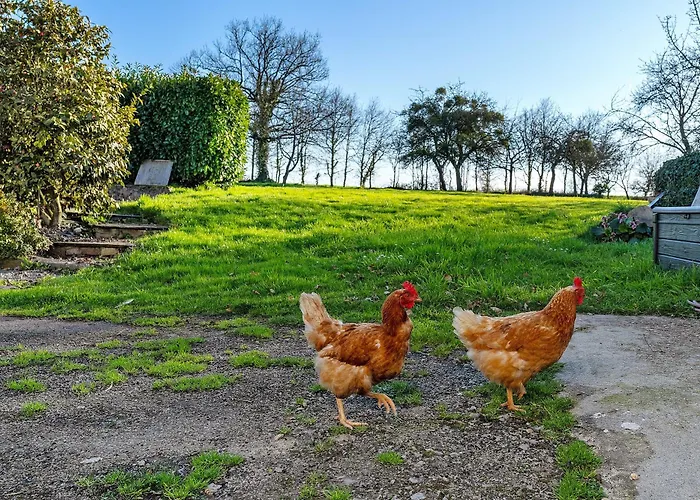 Chemin Des Hetres Apartment