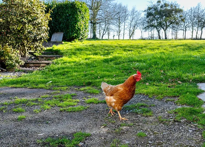 Chemin Des Hetres Apartment