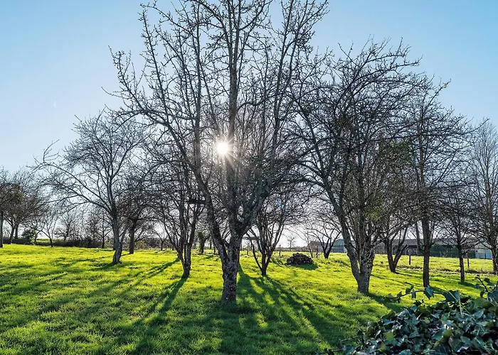 Chemin Des Hetres Apartment *