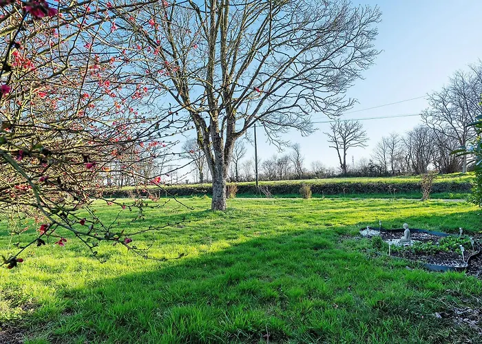 Chemin Des Hetres Armaille